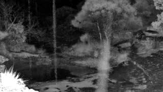 Still 3 from this detection