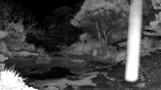 Still 2 from this detection