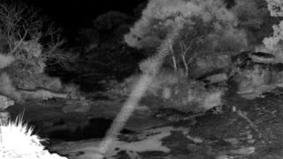 Still 3 from this detection