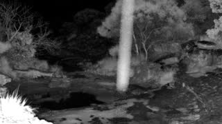 Still 2 from this detection