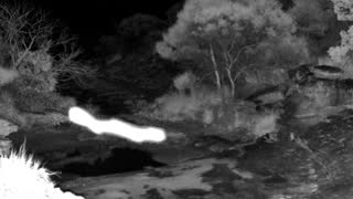 Still 1 from this detection