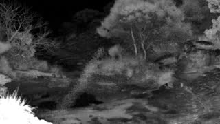 Still 1 from this detection
