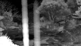 Still 2 from this detection