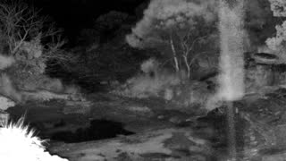 Still 3 from this detection