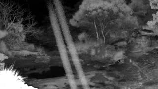 Still 3 from this detection