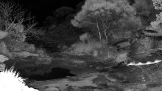 Still 1 from this detection