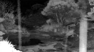 Still 2 from this detection