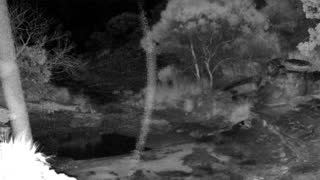 Still 1 from this detection