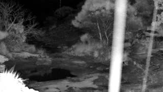 Still 1 from this detection