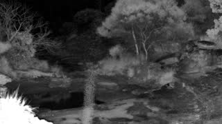 Still 3 from this detection
