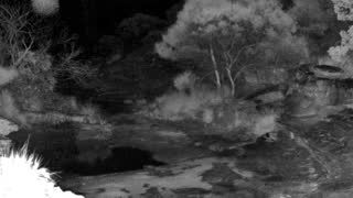 Still 3 from this detection