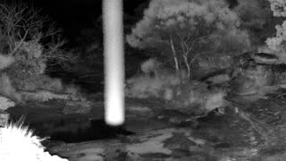 Still 2 from this detection
