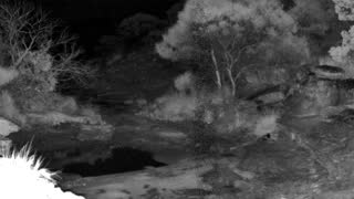 Still 1 from this detection