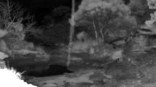Still 1 from this detection