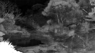 Still 3 from this detection