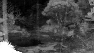 Still 3 from this detection