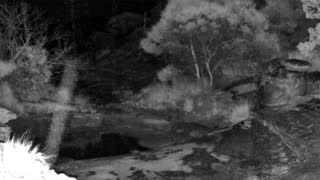 Still 1 from this detection