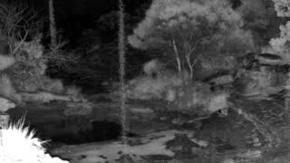 Still 2 from this detection