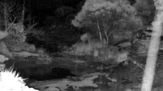Still 3 from this detection