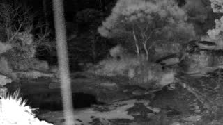 Still 2 from this detection