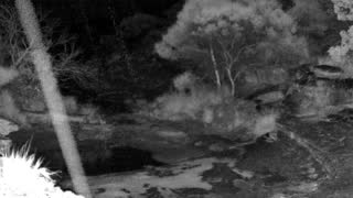 Still 2 from this detection