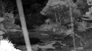 Still 3 from this detection