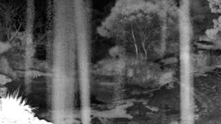Still 1 from this detection