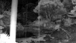 Still 2 from this detection