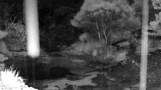 Still 1 from this detection