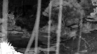 Still 3 from this detection