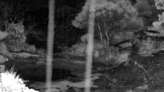Still 1 from this detection