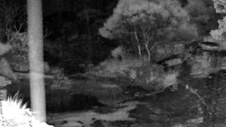 Still 2 from this detection
