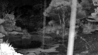 Still 3 from this detection