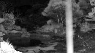 Still 2 from this detection