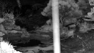Still 2 from this detection