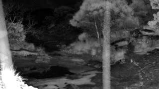 Still 3 from this detection