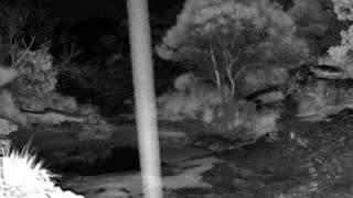 Still 2 from this detection