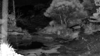 Still 1 from this detection