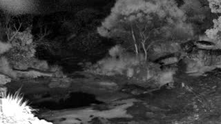 Still 2 from this detection