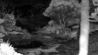 Still 2 from this detection