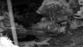 Still 2 from this detection