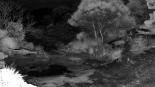 Still 1 from this detection