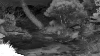 Still 2 from this detection