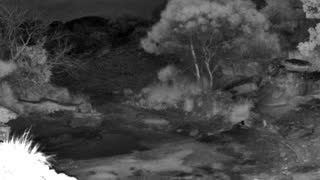 Still 3 from this detection