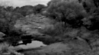 Still 2 from this detection