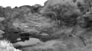 Still 2 from this detection