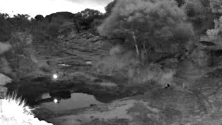 Still 2 from this detection