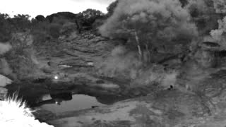 Still 3 from this detection