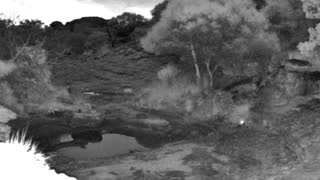Still 2 from this detection
