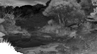 Still 1 from this detection